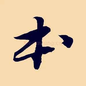 本