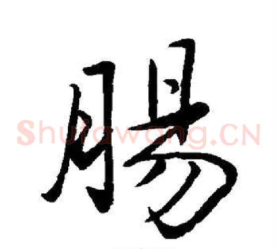 肠