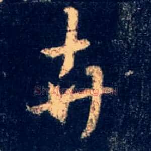 卉