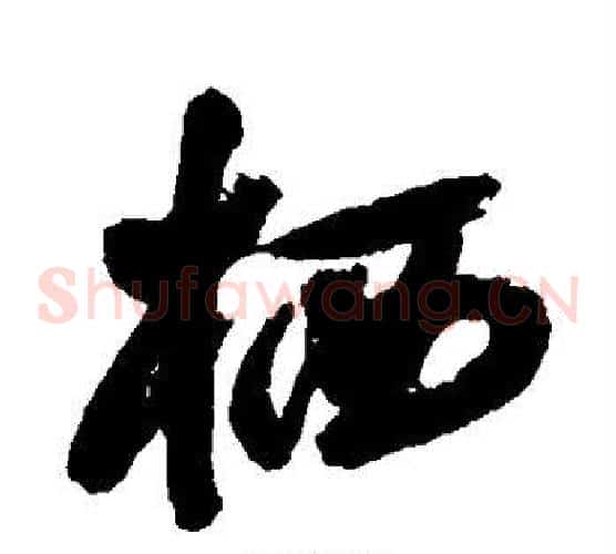 栖