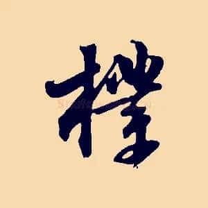 樸