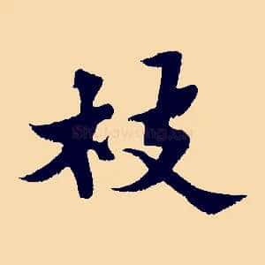 枝