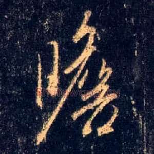 瞻
