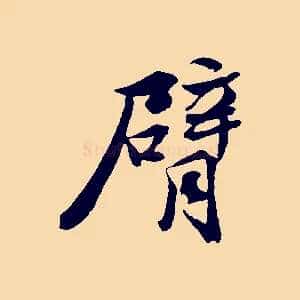 臂