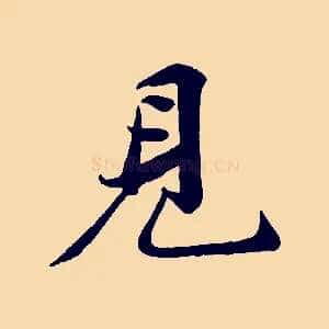 見