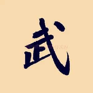 武