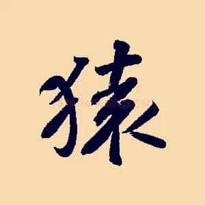 猿