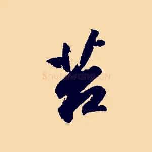 苔
