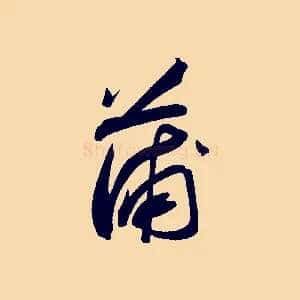 蒲