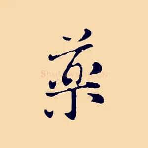 藥