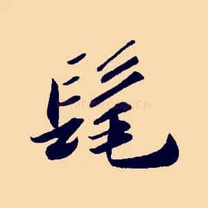 髦