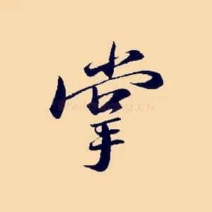 掌