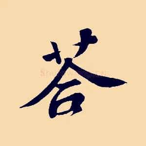 荅