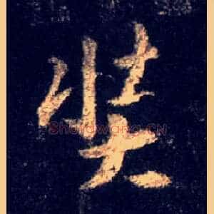 奘