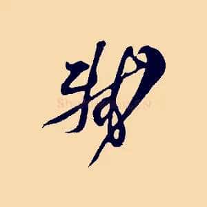 軾