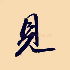 見