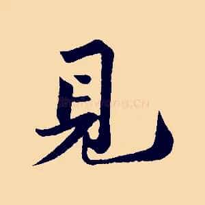 見
