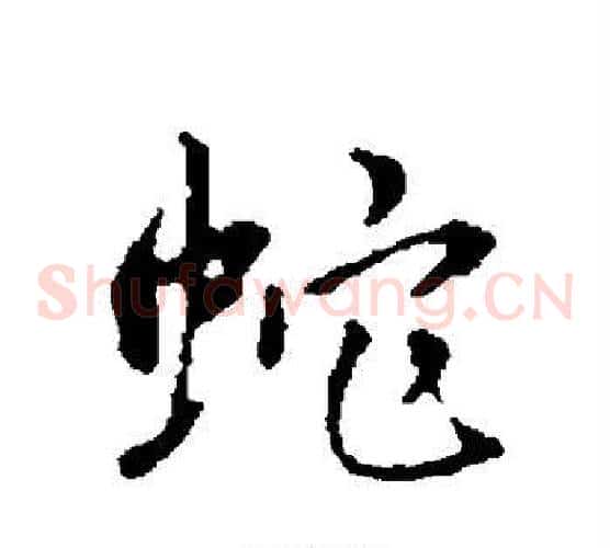 蛇