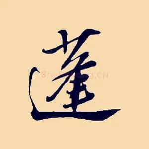 蓬