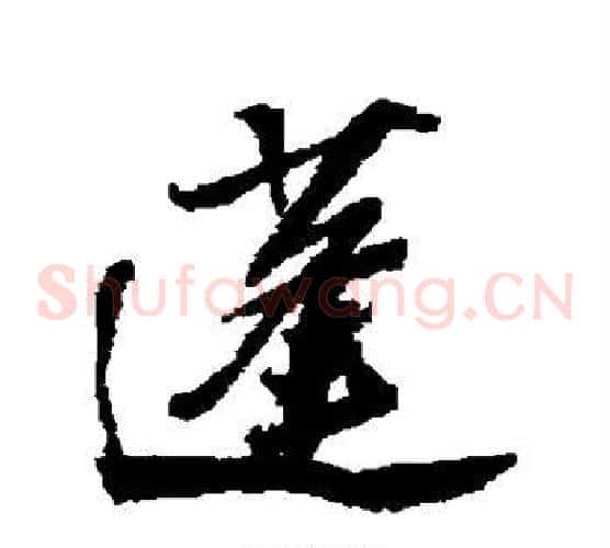 蓬