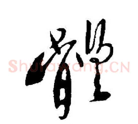 體