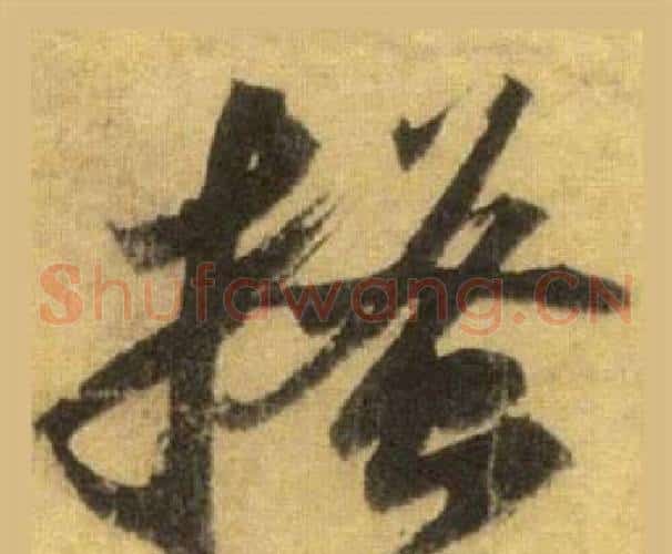 搔