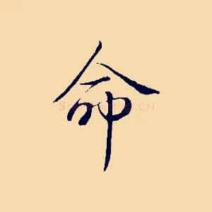 命