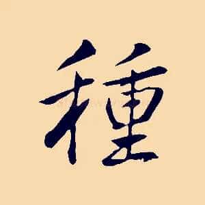 種