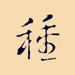 種