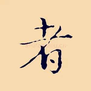 者