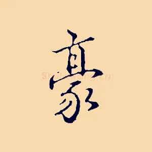 豪