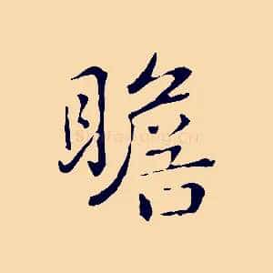 瞻