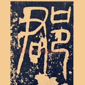 郡