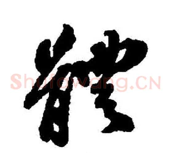 體
