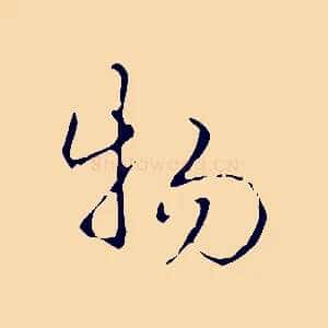 物