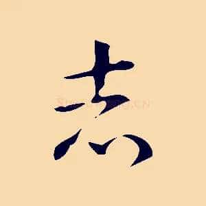 志