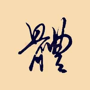 體