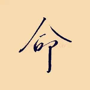 命