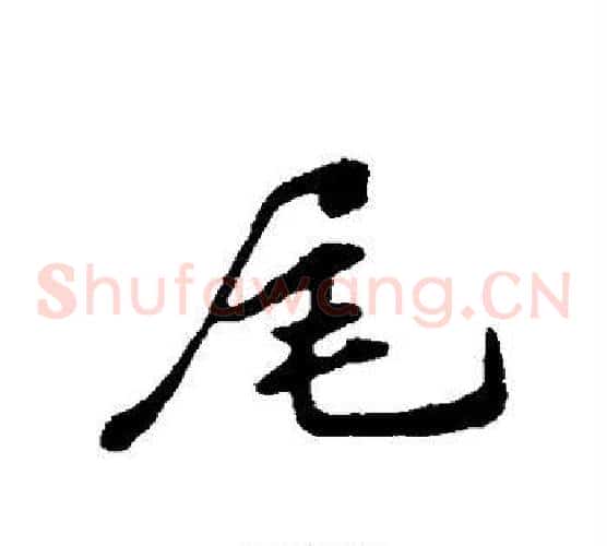 尾
