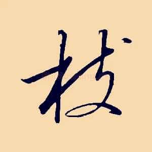 枝