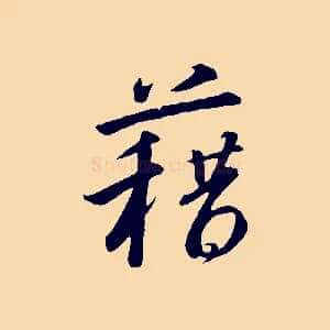 藉