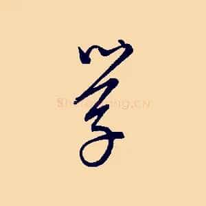 學