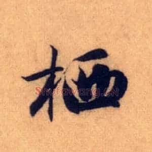 栖