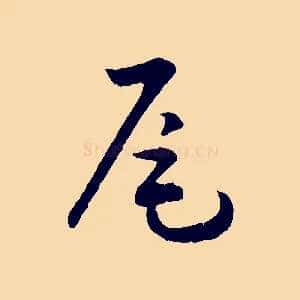 尾