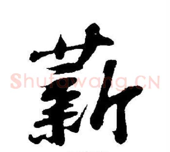 薪