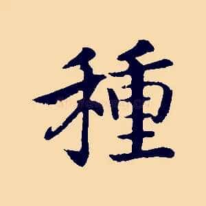 種