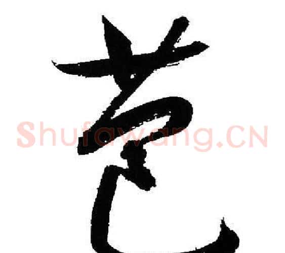 苞