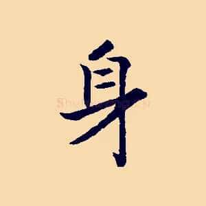 身