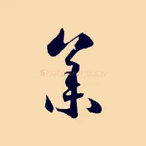 集