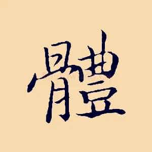 體